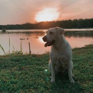 Meet your Posher, Ava